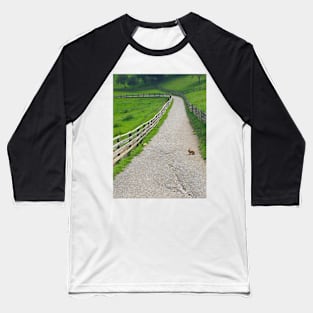 Bunny Crossing Baseball T-Shirt